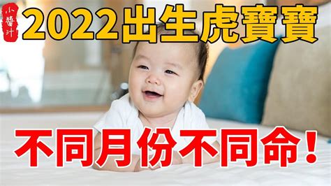 2022虎寶寶旺父母月份|【2022虎寶寶旺父母月份】2022虎寶寶旺父母月份：把握黃金時。